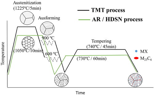 Figure 1. Scheme of the thermal and thermo-mechanical treatments applied in this work to the G91 steel samples (AR and TMT processes) and HDSN steels (HDSN process).