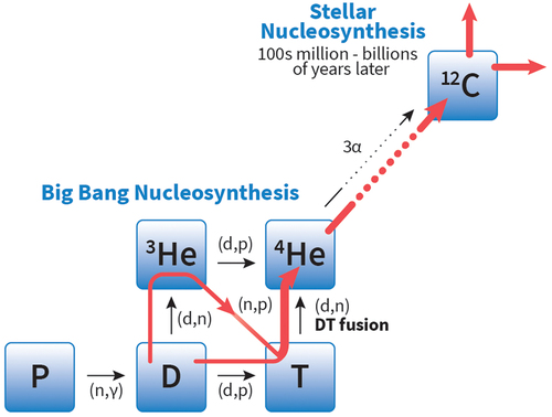 Fig. 2. A schematic of the dominant BBN pathways and the subsequent triple-alpha carbon formation in stars. The red curve shows the dominant path, which goes through the DT fusion reaction. Credit: S. Tasseff.