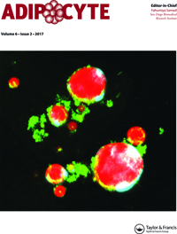 Cover image for Adipocyte, Volume 6, Issue 2, 2017