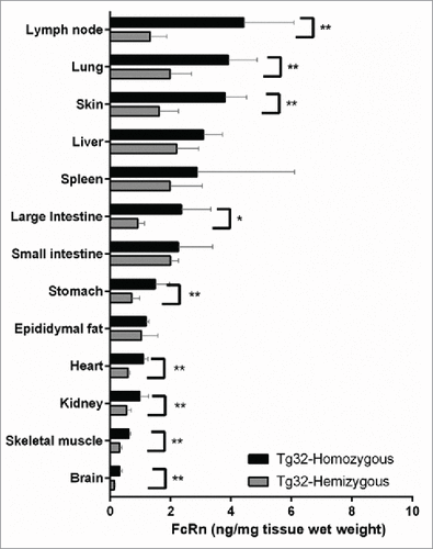 Figure 3. hFcRn Tissue Expression Profile in Tg32 Hemizygous and Homozygous Mice. Significant expression differences between homozygous and hemizygous genotypes were analyzed using an unpaired Mann-Whitney test where significance is indicated as single asterisk (*) for p < 0.1 and double asterisk (**) for p < 0.05.