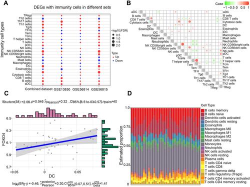 Figure 7 Correlation between FOXO4 expression and immune cell abundance in PMOP. (A) Expression of differentially expressed genes and levels of immune cells in the indicated datasets. (B) Correlation between immune cell types in PMOP samples. Red represents a positive correlation, and green indicates a negative correlation. (C) FOXO4 positively correlated with DCs. (D) Estimated proportions of 20 immune cell types.