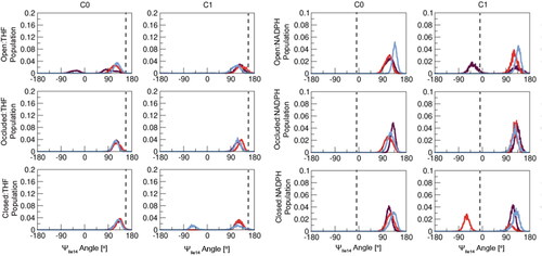 Figure 8. Histograms of ΨIle14 angle versus population for the top two clusters of all DHFR:ligand systems. Dashed lines designate reference ΨIle14 angle values measured from starting structures of respective reference systems – Occluded:THF (162.2°) and Closed:NADPH (−13.4°). Each colored line is an individual replica for that respective system.