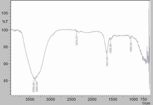 Figure 5. FTIR spectrum of the ALP enzyme.