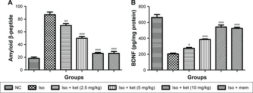 Figure 4 The effect of ketamine on amyloid β and BDNF on normal and treated group rats.