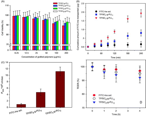 Figure 6. (A) The viability of Caco-2 cells after 24 h exposure to various grafted polymer formed PLVs. Statistically significant difference from control (*p < 0.05). (B) Cumulative amounts of FITC-Ins transported across Caco-2 cell monolayers from TP/SC9-g-PLL5 and TP/SC3-g-PLL2 formed PLVs as a function of time. The free FITC-Ins solution was set as control. (C) The apparent permeability coefficients (Papp, cm/s) of free FITC-Ins solution, TP/SC9-g-PLL5 and TP/SC3-g-PLL2. (D) Changes in transepithelial electrical resistance (TEER, %) during the transport experiment in Caco-2 cell monolayer.