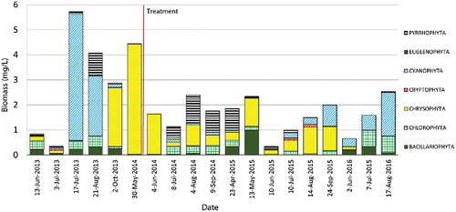 Figure 7. Biomass of major algal divisions in samples from Lovell's Pond.