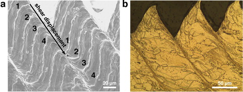 Figure 1. (a) SEM micrograph showing the morphology of micromarkers in a shear-banded chip of CP Ti cut with V0 = 10 m/s. The black arrow indicates the shear displacement caused by shear banding. (b) Optical micrograph of shear bands in the chip.