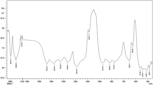 Figure 4. Fourier Transform Infra-red spectroscopy (FTIR) spectrum of AuNPs.