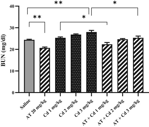 Figure 4. Effects of AT on BUN concentrations in the rats exposed to CdCl2 with doses 1,2, and 3 mg/kg. Administration of CdCl2 (3 mg/kg) significantly increased the level of BUN. AT pretreatment significantly decreased BUN compared to saline and CdCl2-treated rats (1 and, 3 mg/kg). Figures are mean ± S.E.M (n = 7) (0.8043). Saline and AT ***P = .0009, CdCl2 3 mg/kg and saline **P = .0015, CdCl2 1 mg/kg and AT + CdCl2 1 mg/kg *P = .0123, CdCl2 3 mg/kg and AT + CdCl2 3 mg/kg *P = .0378.