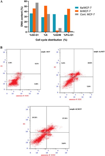Figure 9. (A) Cell cycle analysis in MCF-7 cell line treated with 6a and 6i hybrids. (B) Cell cycle analysis and apoptosis effect in MCF-7 cell line treated with 6a and 6i hybrids.