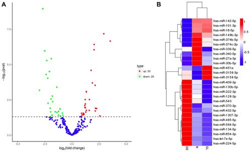 Figure 1 Screening of differential miRNAs. (A) Volcano plot based on fold changes and posterior odds of differently expressed miRNAs between acute phase and recovery phase of stroke patients (n=3). (B) The heatmap indicates the expressions of differential miRNAs in three groups of patients (SE: on the 2nd day of the stroke, n=3; SL: on the 10th day of the stroke, n=3; N: normal control, n=3).