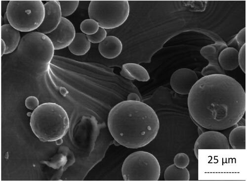 Figure 6. Ti6Al4V alloy manufactured by L-PBF exhibits few pores of large size (∼40 μm).