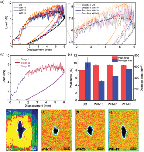 Figure 4. Experimental results of drop-weight impact: (a) Load–displacement curves; (b) three stages of the load–displacement curve. (c) Comparison of peak force and damage area. Ultrasonic C-scan images showing damage in the (d) UD, (e) WH-10, (f) WH-20, and (g) WH-45.