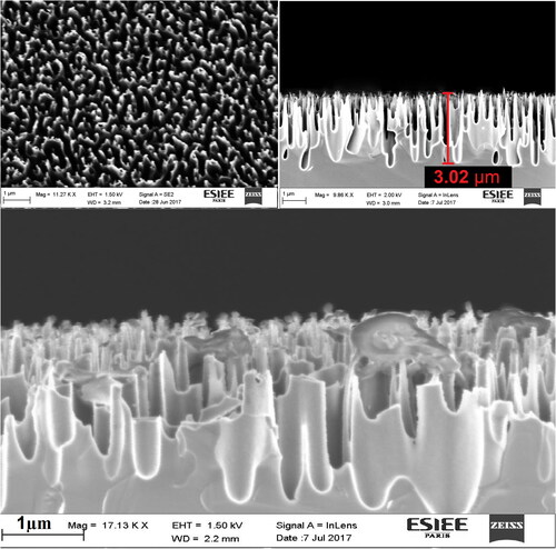 Figure 1. A scanning electron microscopy (SEM) image of BSi used in this study. A top view of the surface (top left), a cross-sectional of the pillars (top right), and another cross-sectional view of the surface. Dust particles are impaled by the pillars (bottom).