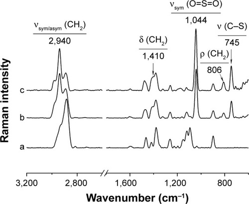 Figure 4 Normalized Fourier transform Raman spectra of a) chitosan, b) SECSVS (DSSE 0.69), and c) SECSBES (DSSE 1.03).Abbreviations: DSSE, degrees of substitution with sulfoethyl groups; SECSVS or SECSBES, sulfoethyl chitosan synthesized with sodium vinyl sulfonate or sodium 2-bromoethanesulfonate.