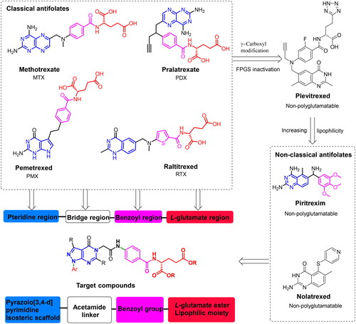Figure 1. Structures of some antifolates and design strategy of novel Glu-based pyrazolo[3,4-d]pyrimidine analogues.