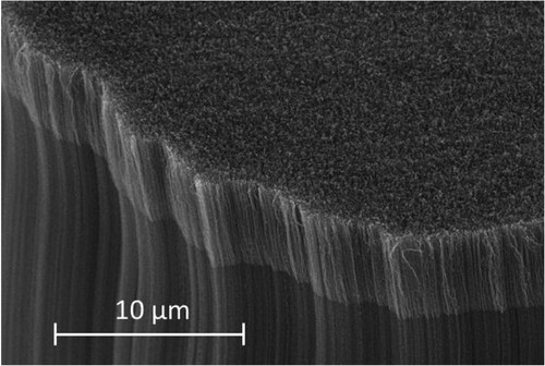 Figure 5. SEM image of Vantablack® coating at magnifications of 2500x [Citation11].