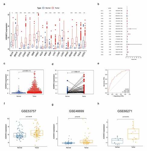 Figure 2. Significantly elevated expression levels of ADAM12 in renal clear cell carcinoma samples.