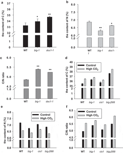 Figure 2. BIG is important for regulating carbon/nitrogen balance.(a) and (b) The percentage of C content was significantly increased in big mutants compared to WT, whereas the percentage of N content was significantly decreased in big mutants than WT. The C/N contents of rosette leaves from five-week-old plants were determined by elemental analyzer. (c) The C/N ratio was significantly increased in big mutants. (d) BIG gene mutants are less sensitive to elevated CO2-induced C content increase. (e) BIG gene mutants are less sensitive to elevated CO2-induced N content decrease. (f) BIG gene mutants are less sensitive to elevated CO2-induced increase of C/N ratio. For (a), (b) and (c), asterisks indicate significant differences detected using Student’s t-test (*P < .05, **P < .01) when compared to WT.