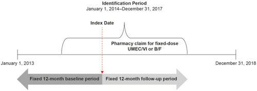 Figure 1 Patient identification period and study design.