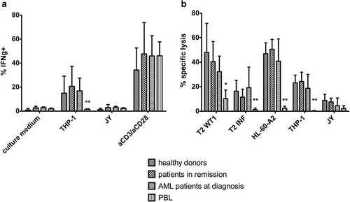 Figure 5. In vitro generated TA-specific T-cells specifically recognize and kill TA-expressing cell lines. (a) Intracellular staining of T-cells for interferon-gamma (IFNg) after co-culture with THP-1 (HLA-A2+ WT1+) or JY (HLA-A2+ WT1−) cells. Culture medium was used as a negative control, stimulation with aCD3/aCD28 as a positive control. Effector/target ratio 1/2. Gating on eGFP+ TCR-transduced cells. T-cells generated from HSPC from healthy donors (n = 4), patients in remission after chemotherapy (n = 5), AML patients at diagnosis (n = 4) and PBL (n = 6). (b) Percentage specific lysis determined via 4-h 51chromium release assay after co-culture of T-cells with T2 cells pulsed with relevant WT1 or irrelevant influenza (INF) peptide (10 µg/ml), HL-60-A2 (HLA-A2+ WT1+), THP-1, or JY cells. Effector/target ratio 10/1. T-cells generated from HSPC from healthy donors (n = 6), patients in remission after chemotherapy (n = 7), AML patients at diagnosis (n = 8) and PBL (n = 6). For (a) and (b) mean and s.d. are shown. Kruskal–Wallis test was used to determine statistical significance between different HSPC sample groups. Differences were not significant. Mann–Whitney U test was used to determine statistical significance for between-group comparisons for HSPC- and PBL-derived T-cells. P-value < 0.05 (*) and P < 0.01 (**)