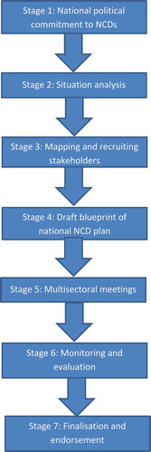 Figure 1. Stages in the process of developing a multisectoral action plan to address noncommunicable diseases.