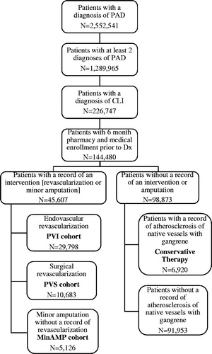 Figure 1. Attrition diagram. CLI, critical limb ischemia; MinAMP, Minor Amputation without a record of PVI or PVS; PAD, peripheral artery disease; PVI, Peripheral vascular interventions; PVS, Peripheral vascular surgery.