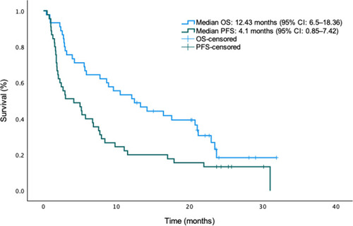 Figure 1 Kaplan–Meier curves for progression-free survival and overall survival of pazopanib in soft tissue sarcoma.