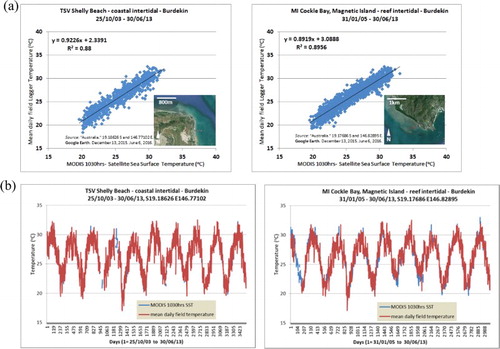 Figure 5. Shelley Beach and Cockle Bay, daily average field-measured temperature compared to satellite sea surface temperature from MODIS-TERRA for the closest all ocean pixel, as a scatter plot (a) and time series plot (b) for the period October 2003–June 2013. Due to field logger data gaps and cloud cover in satellite image data the matched data points do not cover every day in this period. Inset map from Google Earth shows the location of the field logger site.