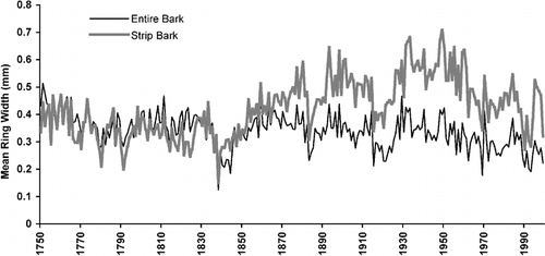 FIGURE 4. Time-series plot of the mean growth increment (in mm) for the 15 datable strip-bark trees and their entire-bark companions