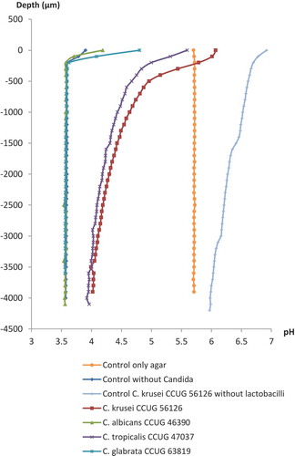 Figure 2. Microsensor measurement of pH at selected Candida strains grown by the agar overlay technique with L. reuteri ATCC PTA 5289 (103 cfu/mL) in the bottom agar layer. Zero on the vertical axis represents the first reading when the sensors hit either a Candida colony or the agar plates without Candida colonies. For the Candida controls without lactobacilli, data are only presented for C. krusei CCUG 56126.