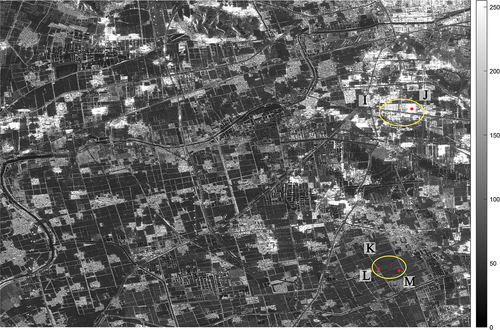 Figure 11. SAR intensity image of research area. Yellow circle K indicates typical area covered by bare land, farmland and sparse vegetation, and yellow circle I indicates area where dense buildings are located. J, L and M are feature points of buildings, roads and vegetation, respectively.