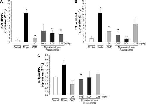 Figure 8 Effects of alkaloid-loaded microspheres on mRNA expression of iNOS, TNF-α, and IL-1β in ethanol-induced gastric mucosa lesions.