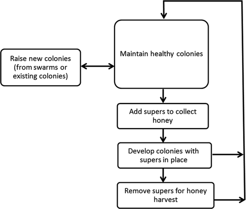 Figure 1. Beekeeping flow diagram for unprocessed honey production.