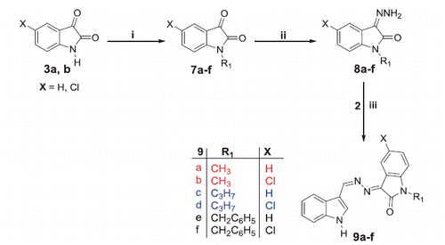 Scheme 2. Synthesis of target compounds 9a–f; Reagents and conditions: (i) methyl, propyl or benzyl bromide, dry acetonitrile, K2CO3, reflux 3 h, (ii) CH3OH/NH2NH2.H2O/reflux 1 h and (iii) EtOH/AcOH (catalytic)/reflux 3 h.