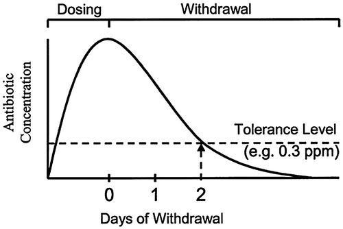 Figure 2. Theoretical depletion of antibiotic residues in edible poultry tissue.
