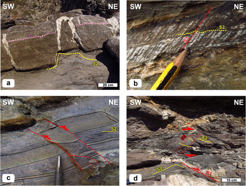 Figure 5. Mesoscale features of the PBU: (a) Symmetric boudinage in the Anageniti Fm. Quartz veins separate boudins of a metaconglomerate layer, whereas the S2 foliation is necked in the surrounding phyllite. (b) Detail of the S2 foliation, crenulated by steep W-dipping S3 foliation planes in a metapelitic interlayer of the Metarenarie e Metapeliti Fm. (c) Small scale D3 thrusts with centimetric westward displacements affecting pre-existing boudins of metasandstone layers at the base of the Metabrecce Poligeniche Fm. (d) D4 shear zones developed in phyllite and quartzite (Quarziti e Filladi Fm.). Top-to-NE sigmoidal structures, containing deformed S3 and S2 foliations, are dragged along top-to-NE low-angle Riedel shears.