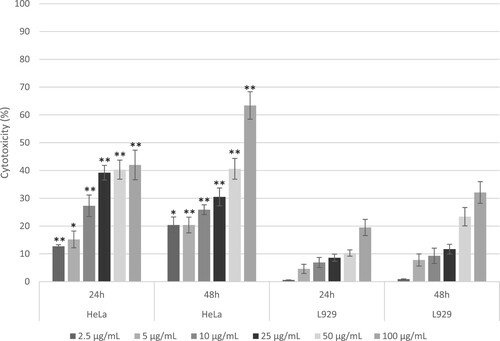 Figure 5. Dose – and time-dependent cytotoxic effects of CL on HeLa (cervical cancer) and comparison with L929 (Fibroblast) cells serving as controls, after 24 and 48 hours of treatment. The cytotoxicity was assessed using the MTT assay, with results expressed as percentages relative to untreated controls. Data are presented as mean ± standard error (SE) based on three independent experiments conducted in triplicate. Bars within cell types displaying asterisks denote significant differences determined by Welch's t-test (*p ≤ 0.05, **p ≤ 0.01).