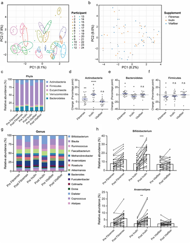 Figure 2. Stools were collected before and one-week following the consumption of either Fibremax, Inulin or Vitafiber and 16S rRNA gene sequencing was performed to analyze gut microbiota composition. (a) differences in the overall microbiota communities of all participants and timepoints were analyzed by principal component analysis (PCA) of Aitchison’s distance. Colour represents unique individuals, and each cluster of individuals were statistically significantly (p <.001) from all other cluster of individuals as determined by Kolmogorov Smirnov test of within vs. between cluster distributions of Aitchison distance. (b) differences in the overall microbiota communities of post-intervention samples were analyzed by principal component analysis (PCA) of Aitchison’s distance. Colour represents fiber supplements, and overall post-microbiome supplement were not significantly different between groups as determined by PERMANOVA (Inulin vs. Vitafiber p > 0.99; Inulin vs. Fibremax p > .99; Vitafiber vs. Fibremax p =.9998). (c) relative abundance of bacteria in the stool at the phylum level (top 5 shown). (d-f) the absolute percentage change of (d) Actinobacteria, (e) Bacteroidetes and (f) Firmicutes following intervention with either Fibremax, Inulin or Vitafiber. *p <.05, **p <.01 and ****p <.0001 as determined by paired t-test between before and after intervention for each individual supplement. Data represented as mean ± SEM. (g) relative abundance of bacteria in the stool at the genus level (top 15 shown). (h) before/after plot of the relative abundance of Bifidobacterium (top) and Anaerostipes (bottom) for Fibremax, Inulin and Vitafiber. **p <.01 and ***p <.001 as determined by paired t-test between before and after intervention for each individual supplement.