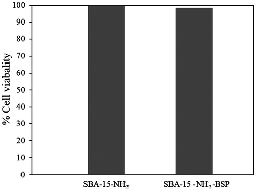 Figure 2. Flow cytometry results for the determination of living PBMCs % after being treated and incubated for 24 h with 50 μg/ml SBA-15-NH2 and SBA-15-NH2-BSP at 37 °C, with respect to the untreated control cells.
