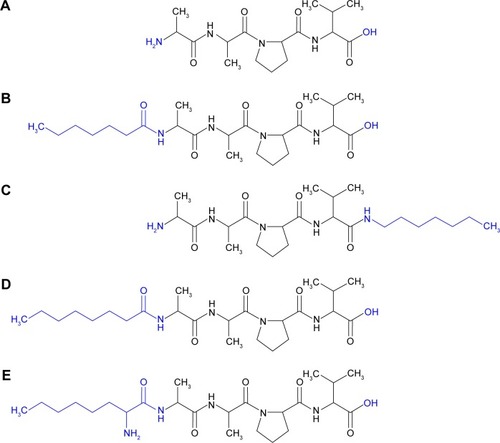 Figure 1 Structures of the parent peptide and the lipopeptide derivatives tested.