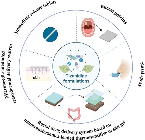 Figure 2 Tizanidine formulations on the market and under development.