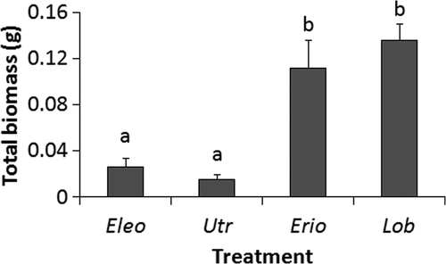 Figure 5. Mean (+SE) total biomasses (g dry mass/19.6 cm2 sediment core surface area) of plants, including above- and belowground biomass, collected in a field study at Limekiln Lake. Eleocharis acicularis (Eleo), U. resupinata (Utr), E. aquaticum (Erio), and L. dortmanna (Lob) were sampled. Treatments not sharing letters are significantly different (p < 0.05) as detected by Tukey's HSD test (n = 6 for Bare and E. acicularis, n = 8 for others).