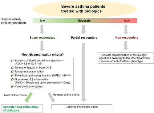 Figure 2 The treatment algorithm for severe asthma patients during treatment with biologics. If super-responders meet all criteria for discontinuation, physicians may consider discontinuing the biologics.