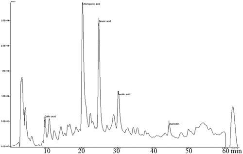 Figure 4. HPLC chromatogram of AME extract. Retention time in min (RT): gallic acid 9.0, chlorogenic acid 20.4, tannic acid 25, ferulic acid 30.6 and quercetin 44.7.