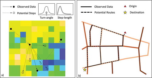 Figure 4. A comparison between a) step-selection functions and b) route choice models in movement research. Step-selection functions compare observed movement steps to potential steps, typically derived from random draws from a distribution describing turning-angles and step-lengths. In route choice models, observed routes are compared to potential routes across a spatial network, and typically there is overlap between potential routes. In both cases, environmental/contextual covariates are included in the model to infer about movement–environment relationships, for example land cover or elevation in step-selection functions (shown as the underlying raster), and road speeds in route choice models (shown as colours of the road network segments)