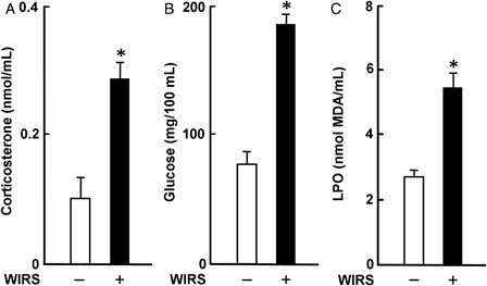 Figure 1. Effect of WIRS on serum corticosterone (A), glucose (B), and LPO (C) concentrations in rats. Each value is a mean ± SD (n = 5 for rats without WIRS; n = 8 for rats with WIRS). *Significantly different from rats without WIRS (P < 0.05).