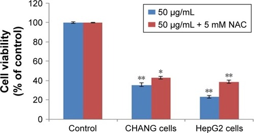 Figure 11 CHANG and HepG2 cells were exposed to rGO–Ag nanocomposite (50 µg/mL) in the presence of 5 mM NAC for 24 h.Notes: NAC significantly reversed the viability (MTT assay) of CHANG and HepG2 cells caused by the rGO–Ag nanocomposite. Each value represents the mean±SE of three experiments. n=3, *p<0.05 and **p<0.01 vs control.Abbreviations: rGO–Ag, silver-doped reduced graphene oxide; NAC, N-acetyl-cysteine; SE, standard error.