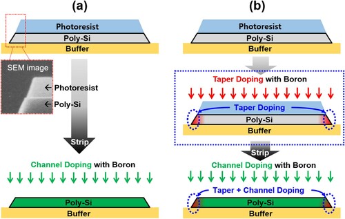 Figure 2. Comparison between the (a) conventional channel doping and (b) channel edge doping (CED) process.