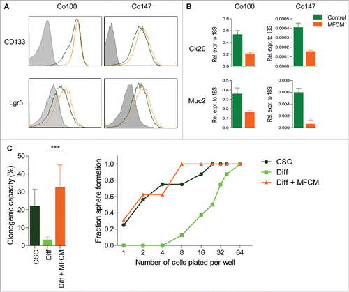 Figure 1. MFCM dedifferentiate differentiated cells to CSCs Spheroid cultures grown in control medium (red) or MFCM (brown) for 24 h and were (A) stained with stem cell marker Lgr5, CD133 or (B) qrt-pcr was performed on differentiation markers Ck20 and Mucin2 (Muc2). (C) Limiting dilutions experiments were performed and clonogenic fraction was calculated in CSC (TOP-GFPhi), Differentiated cell (TOP-GFPlo), and differentiated cells deposited in MFCM (Diff + MFCM). Significance is shown as ***P < 0.001.